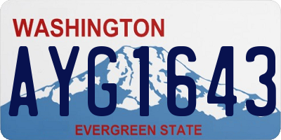 WA license plate AYG1643