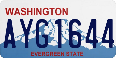 WA license plate AYG1644
