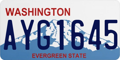 WA license plate AYG1645