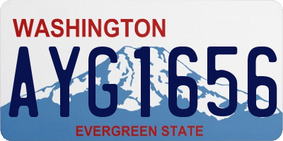 WA license plate AYG1656