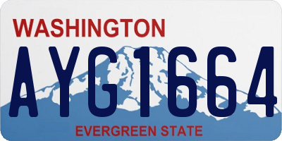 WA license plate AYG1664