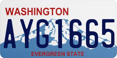 WA license plate AYG1665