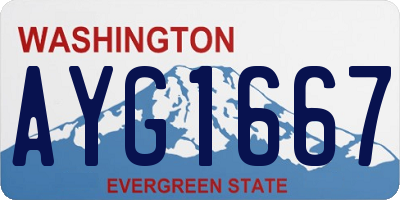 WA license plate AYG1667