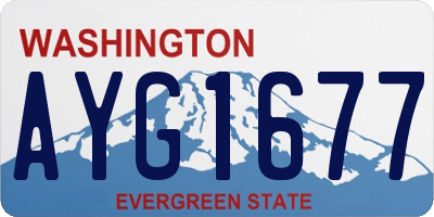 WA license plate AYG1677
