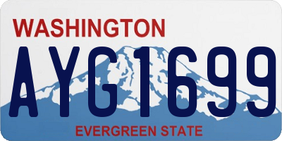 WA license plate AYG1699