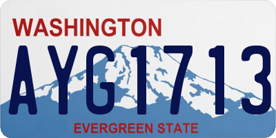 WA license plate AYG1713