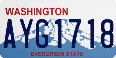 WA license plate AYG1718