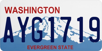 WA license plate AYG1719
