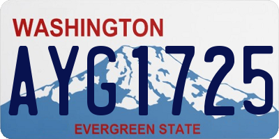 WA license plate AYG1725