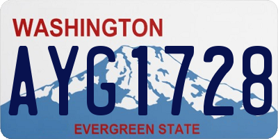 WA license plate AYG1728