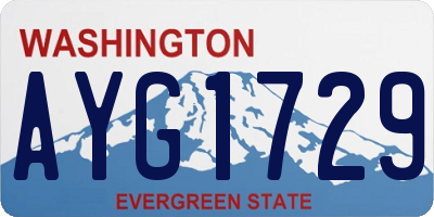 WA license plate AYG1729