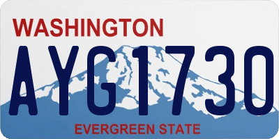 WA license plate AYG1730