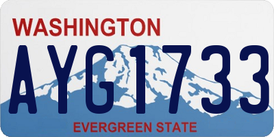 WA license plate AYG1733