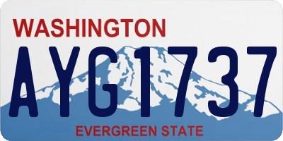 WA license plate AYG1737