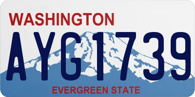 WA license plate AYG1739