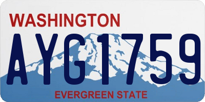 WA license plate AYG1759