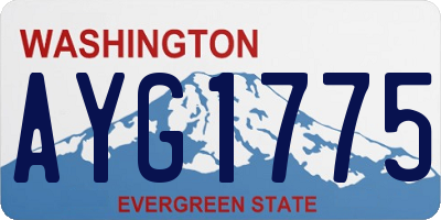 WA license plate AYG1775