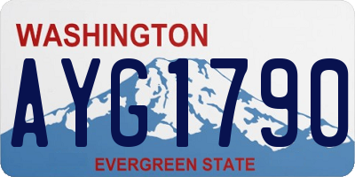 WA license plate AYG1790