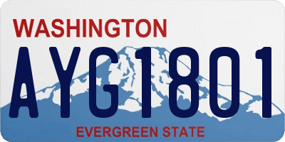 WA license plate AYG1801