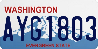 WA license plate AYG1803