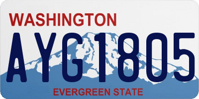 WA license plate AYG1805