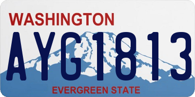 WA license plate AYG1813