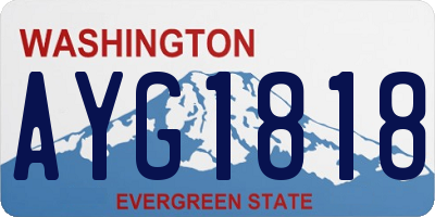 WA license plate AYG1818