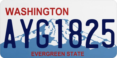 WA license plate AYG1825
