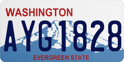 WA license plate AYG1828