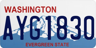 WA license plate AYG1830