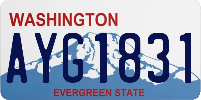 WA license plate AYG1831