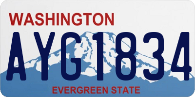 WA license plate AYG1834