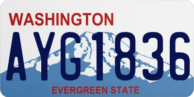 WA license plate AYG1836