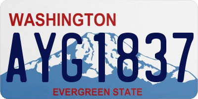 WA license plate AYG1837