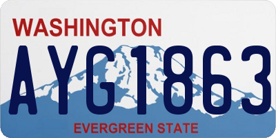 WA license plate AYG1863