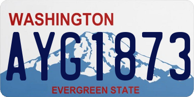 WA license plate AYG1873