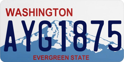WA license plate AYG1875