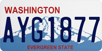 WA license plate AYG1877