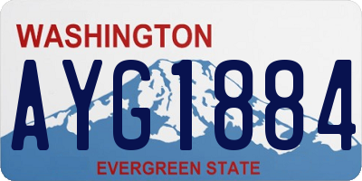 WA license plate AYG1884