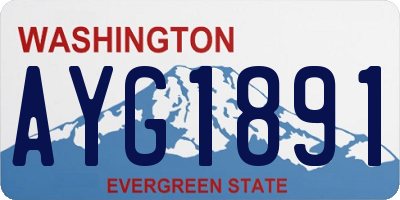 WA license plate AYG1891