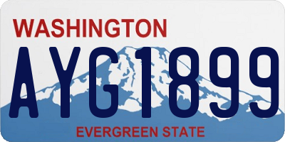 WA license plate AYG1899