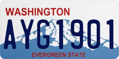 WA license plate AYG1901
