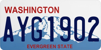 WA license plate AYG1902
