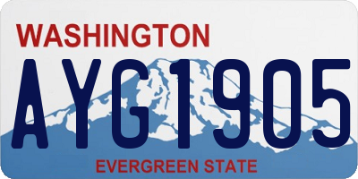 WA license plate AYG1905
