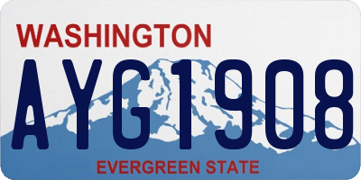 WA license plate AYG1908