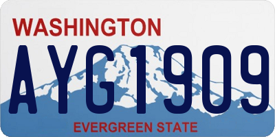 WA license plate AYG1909