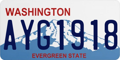 WA license plate AYG1918