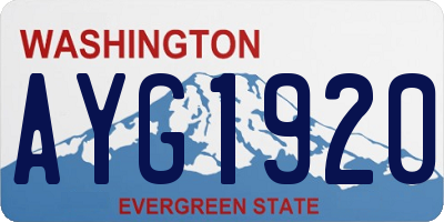 WA license plate AYG1920
