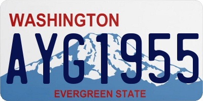 WA license plate AYG1955