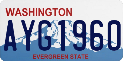 WA license plate AYG1960